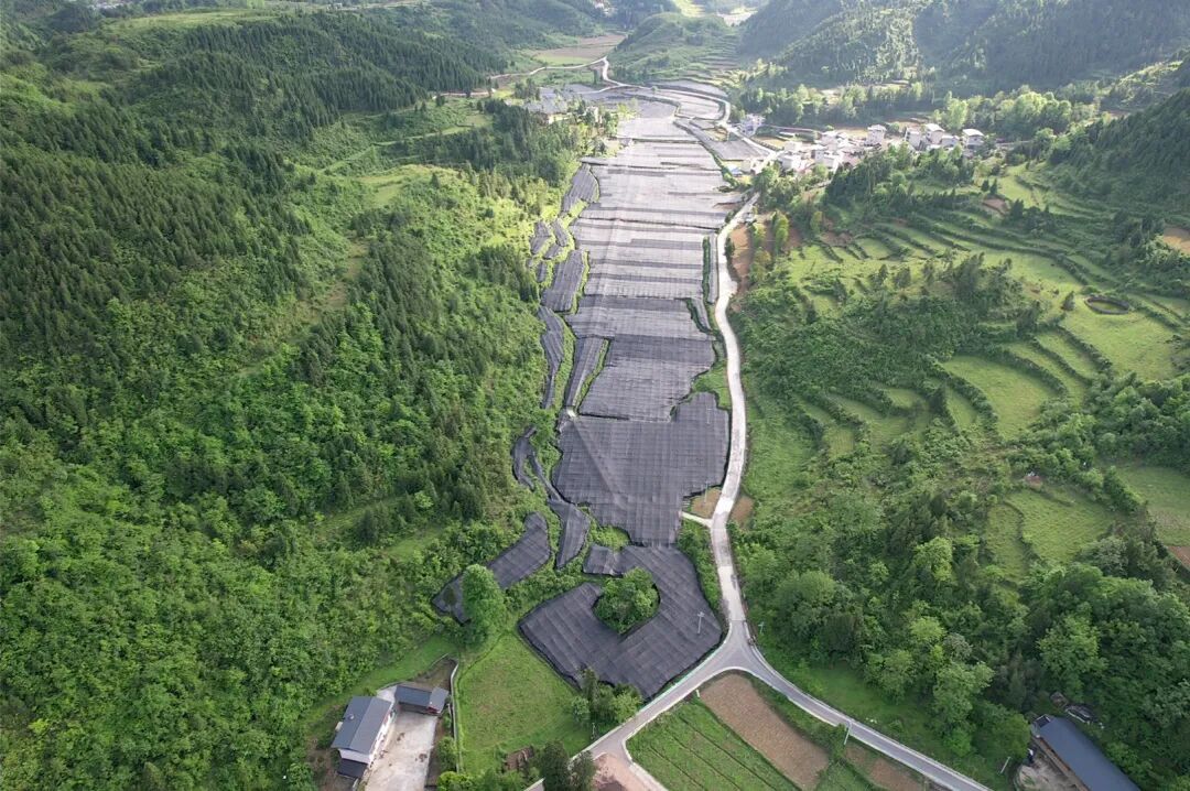 1766455445401068694.jpg 7.jpg